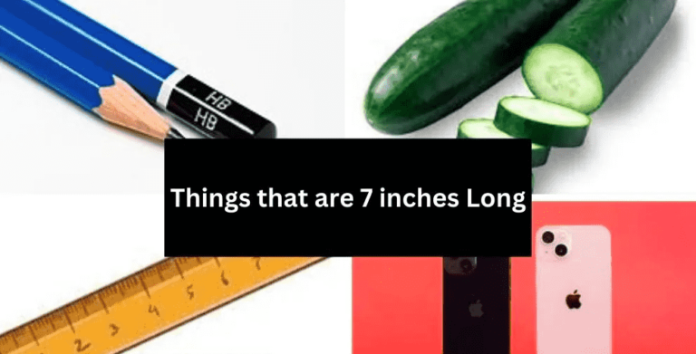 how-big-is-7-inches-convert-7-inches-to-cm-measurement