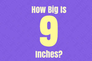 How Big is 9 Inches