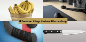 Things That are 8 Inches Long