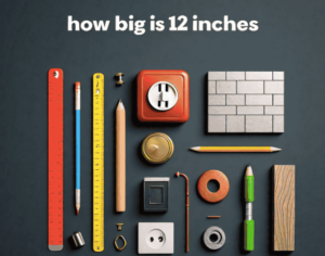 Things that are 12 inches