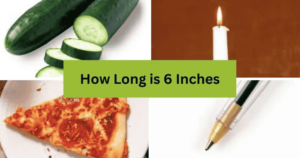 Things that are 6 inches