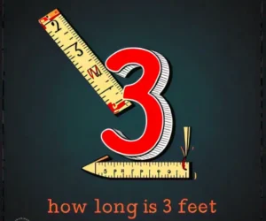 How Long is 3 Feet