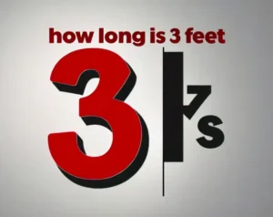 Things That Are 3 Feet Long