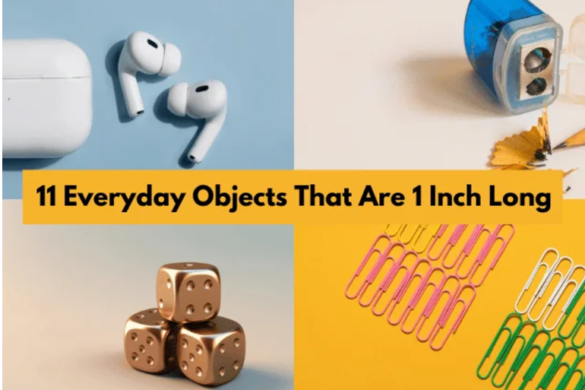 How Big Is 8 Inches Convert 8 Inches To Cm Measurement how-big-is-8-inches-convert-8-inches-to-cm-measurement