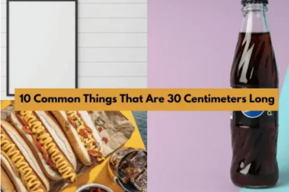 how-big-is-12-inches-common-things-that-are-12-inches-long